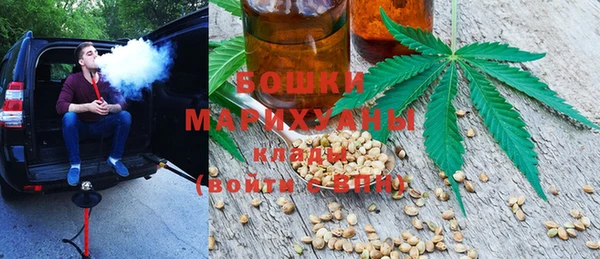 ПСИЛОЦИБИНОВЫЕ ГРИБЫ Липки