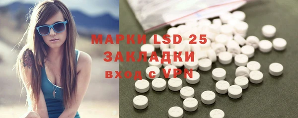 ПСИЛОЦИБИНОВЫЕ ГРИБЫ Липки