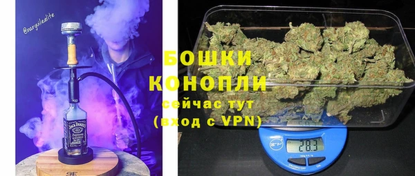 ПСИЛОЦИБИНОВЫЕ ГРИБЫ Липки