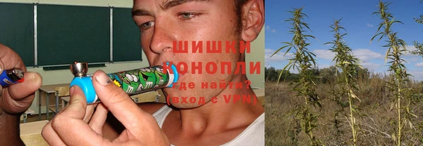 ПСИЛОЦИБИНОВЫЕ ГРИБЫ Липки